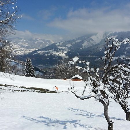 Ferienwohnung Mitterleithengut Zell am See Bagian luar foto