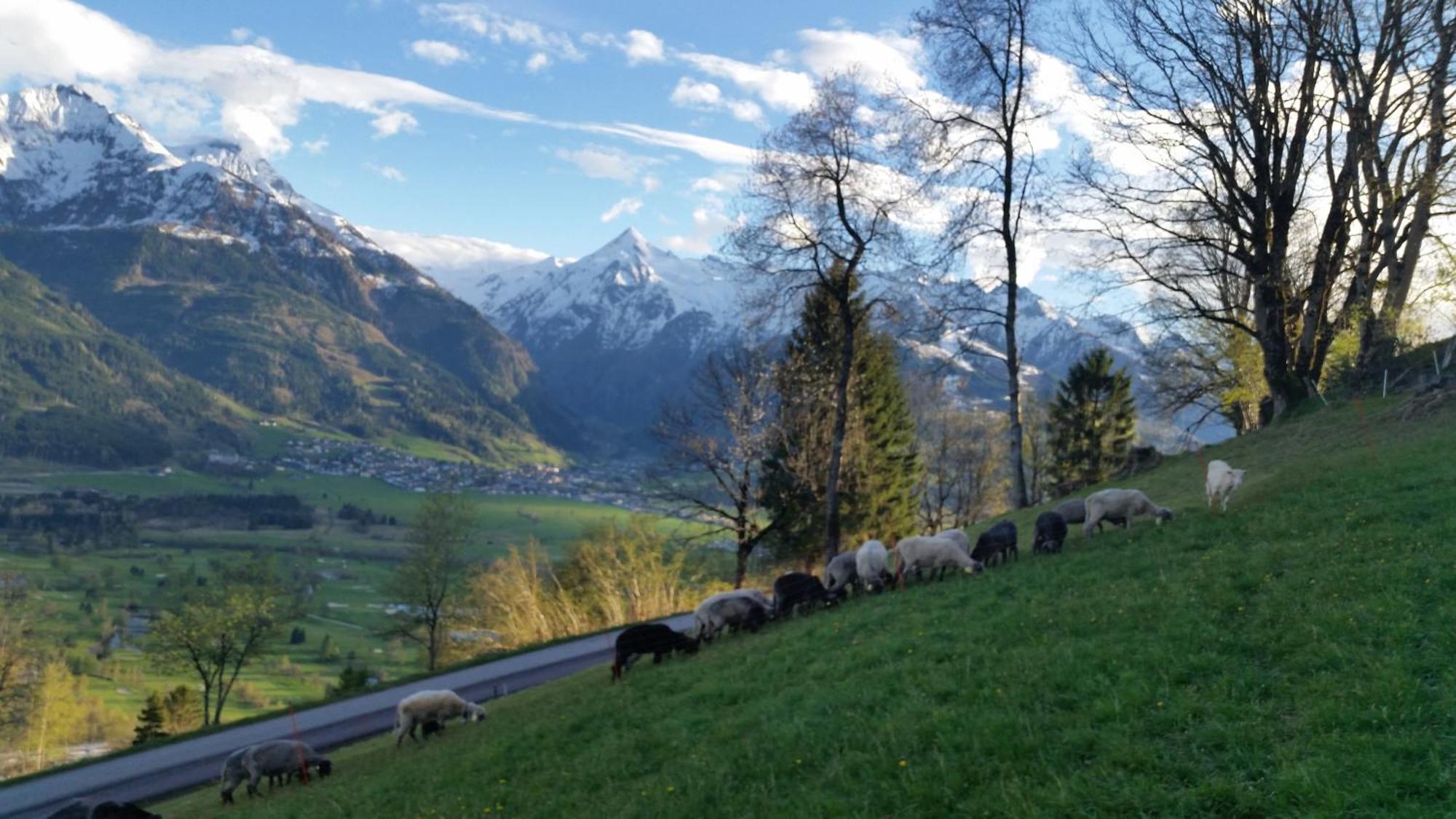 Ferienwohnung Mitterleithengut Zell am See Bagian luar foto