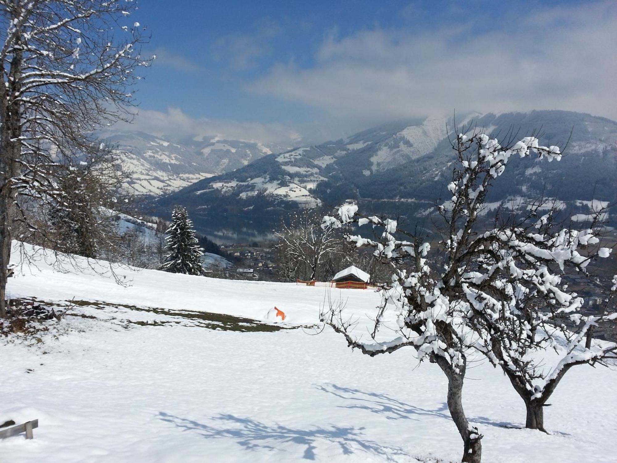 Ferienwohnung Mitterleithengut Zell am See Bagian luar foto